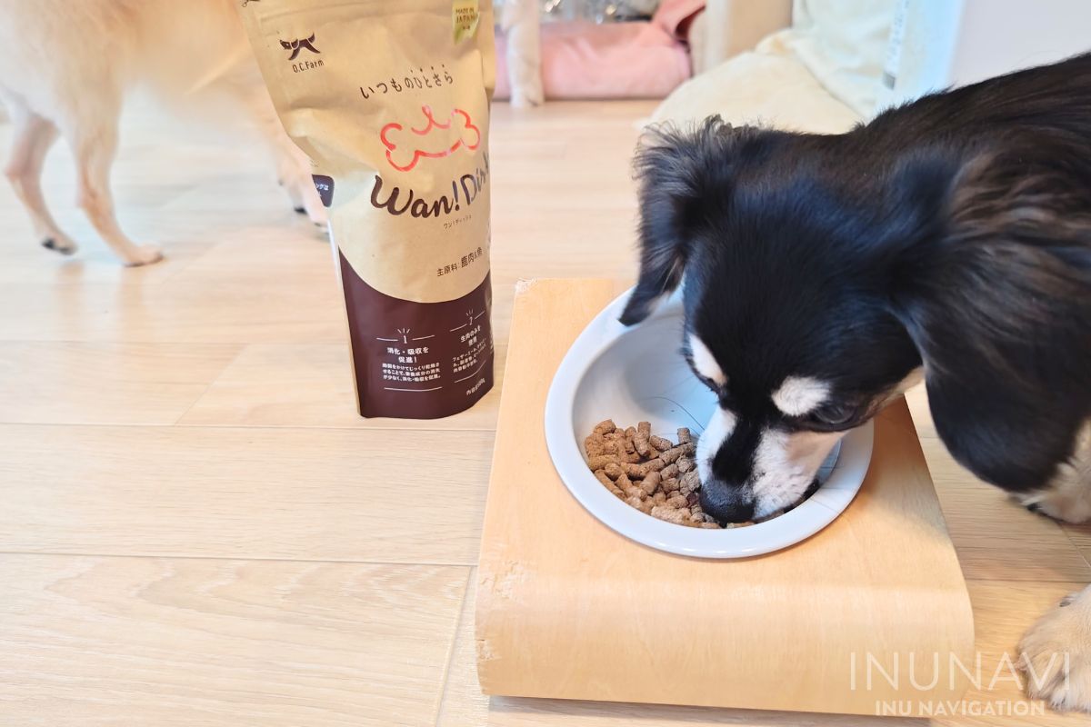 ワンディッシュ(Wan!Dish)　を食べる愛犬 (2)